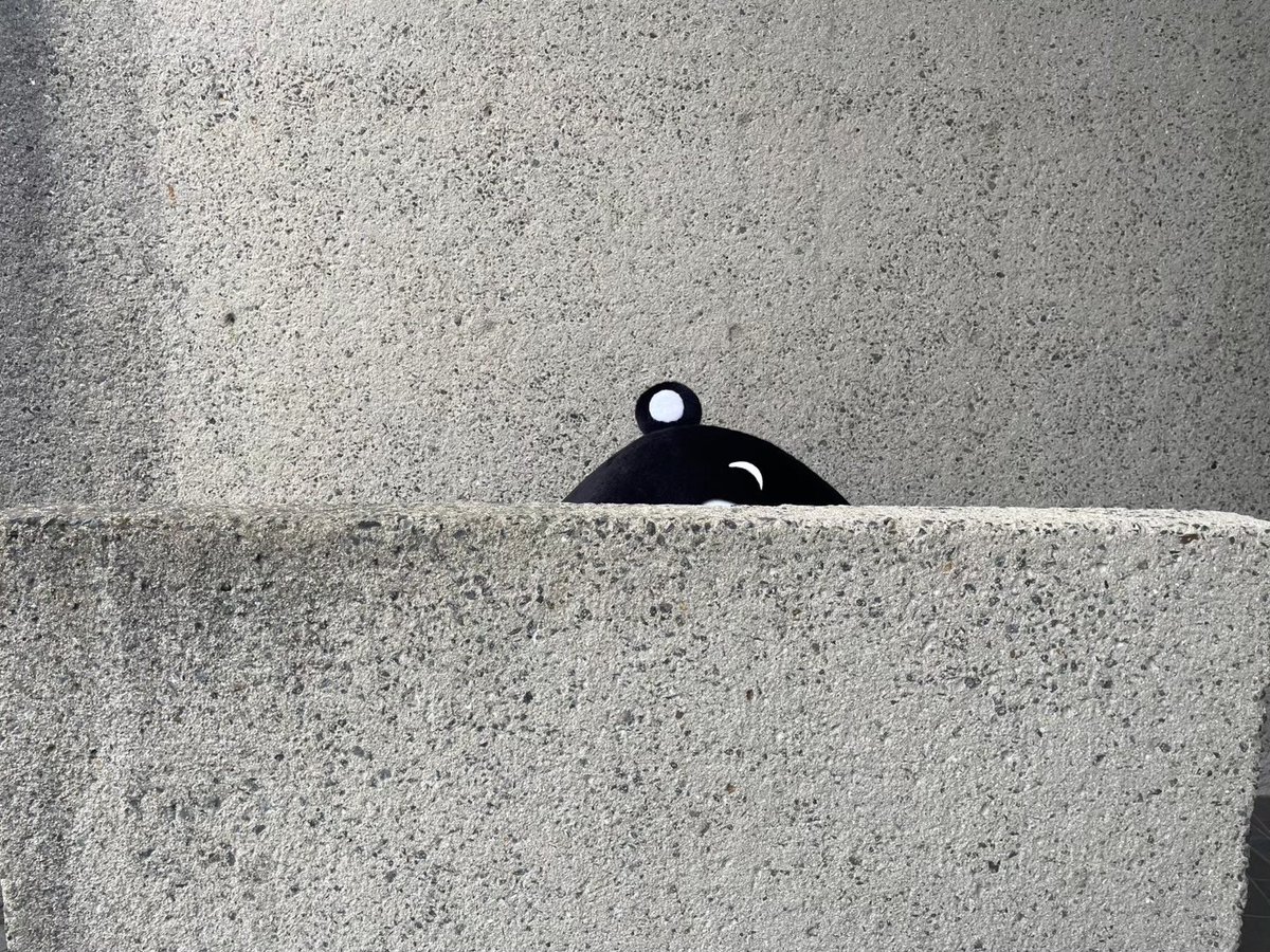 クマ様 タイワンツキノワグマ 01S / 01C – JEKCA-SHOP