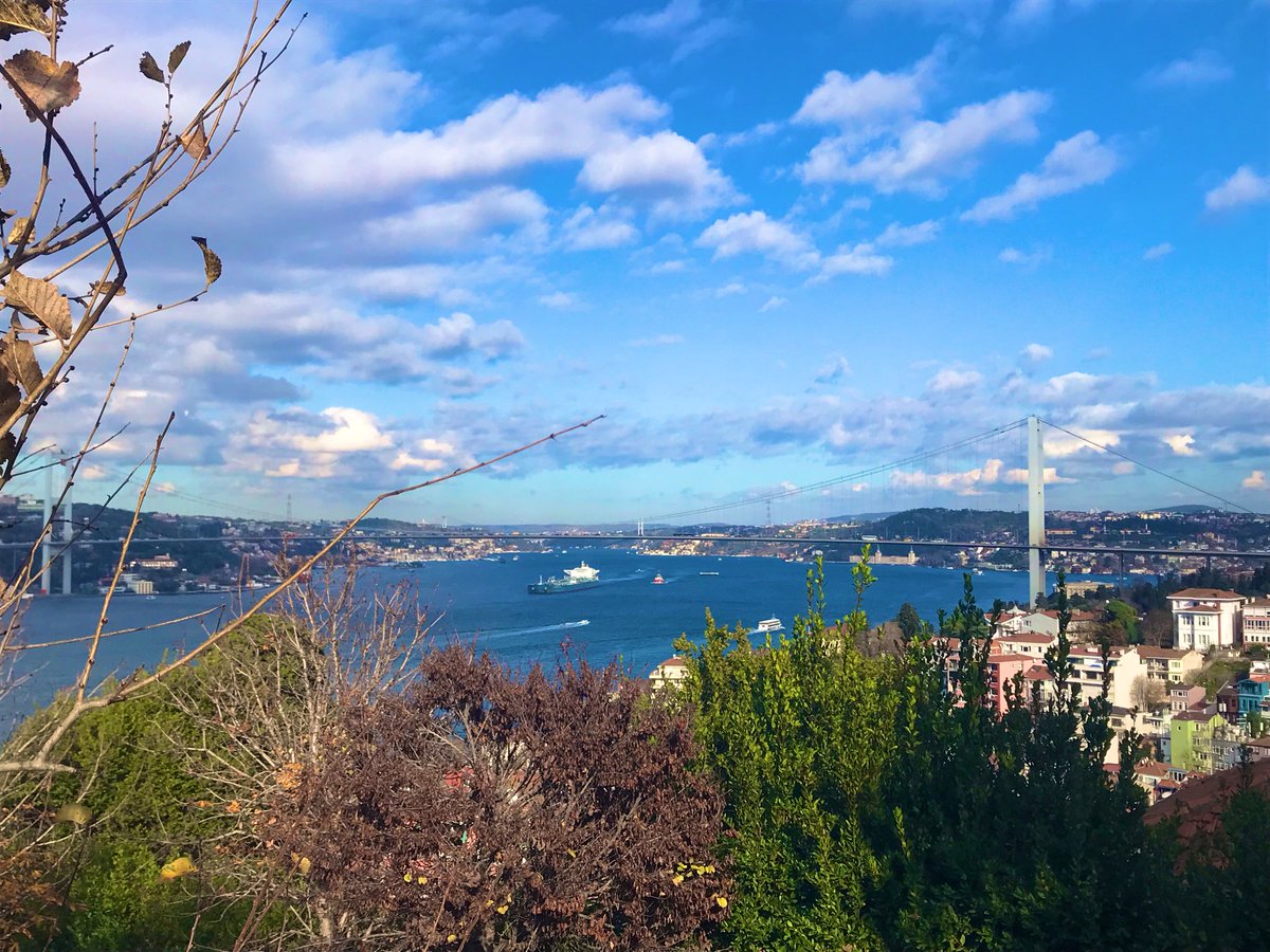 🤝☕️
#Günaydın.🌞
Değerli Dostlarım.
Sevgili Arkadaşlarım.
#GünGüzelliklerGetirsin.
Güzel Yüreğiniz.🍃💛❤️🍃
Yorgunluk Görmesin.🤲
İşiniz gücünüz rast gelsin.
Her şey gönlünüzce olsun.
Selam Saygı ve Sevgiyle.
🇹🇷💫🍃🌼🌺🍃💫🇹🇷