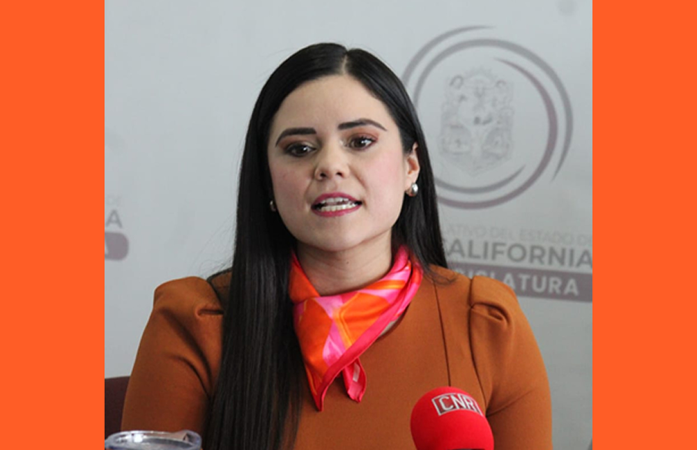 ConexionMxli's tweet image. #CongresoBC DAYLÍN GARCÍA RUVALCABA IMPULSA REFORMA PARA LA INCLUSIÓN LABORAL DE PERSONAS CON AUTISMO EN BC / Propone incentivos fiscales para empresas que contraten personas con autismo /+acortar.link/fxcSmB

#noticiasconexión