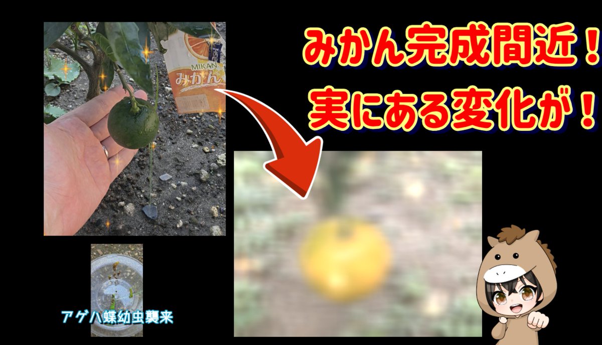 まっく tweet media