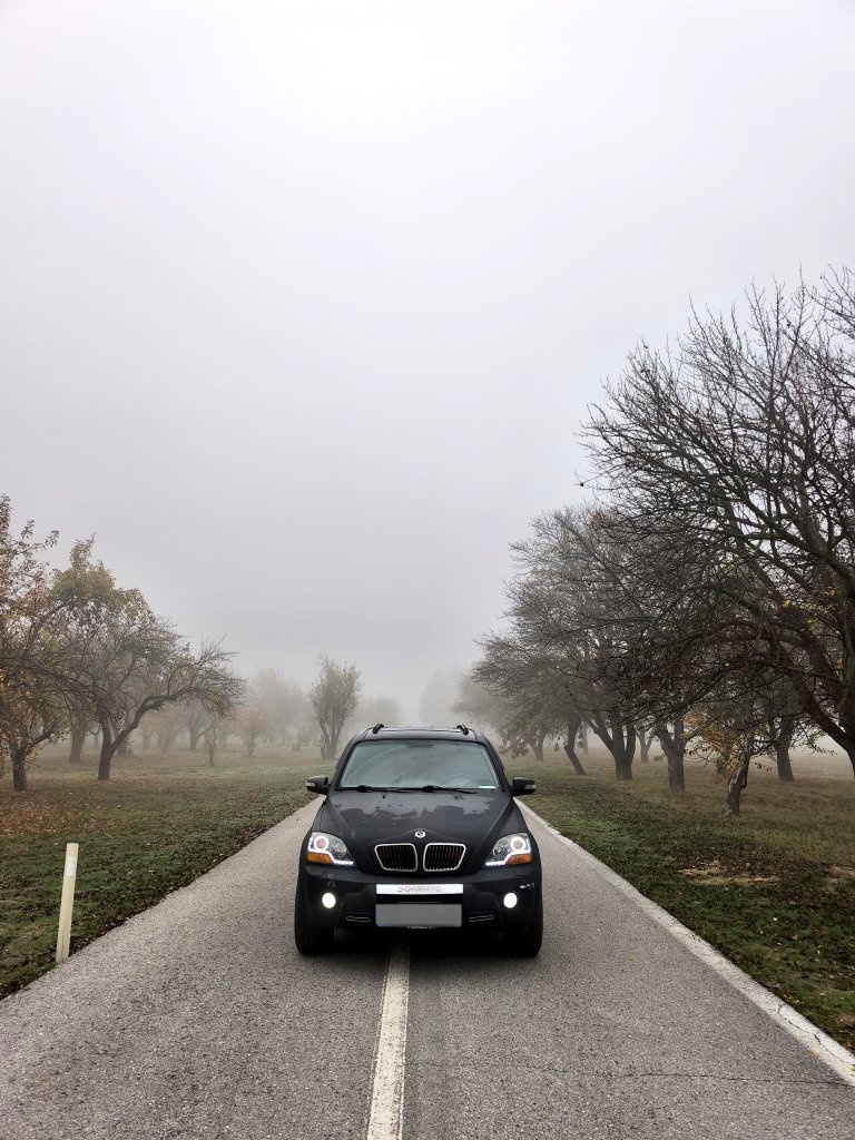 Bilmek her şeyin sonu olur . Çekici olan bilememektir . Sis her şeye harika bir güzellik katar .
