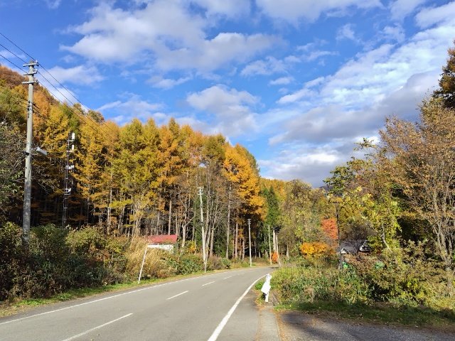 たま～に車が通るだけで我々の他には誰もいません😅
まだ最大のミッション（水源の水を止める）が残っているけど🐻出ないかな⁉️💦