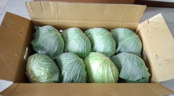 Stellar Game Lover tweet media