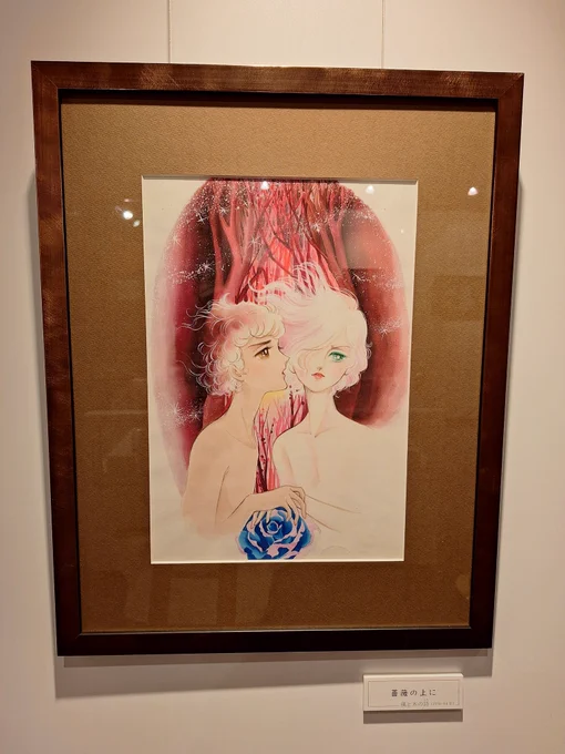 竹宮惠子記念イラスト「原画ダッシュ展」に行ってきました 徳島県立文学書道館にて 11月30日(日)まで 16日(日)まで無料 作品数は少なかったですが細やかな色使いに癒されました眼福です 記念カード2種類も頂いてめっちゃ嬉しい #竹宮惠子