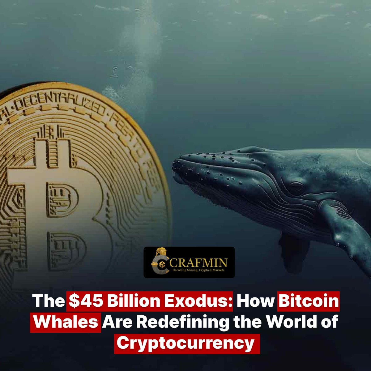 bitcoinwhales