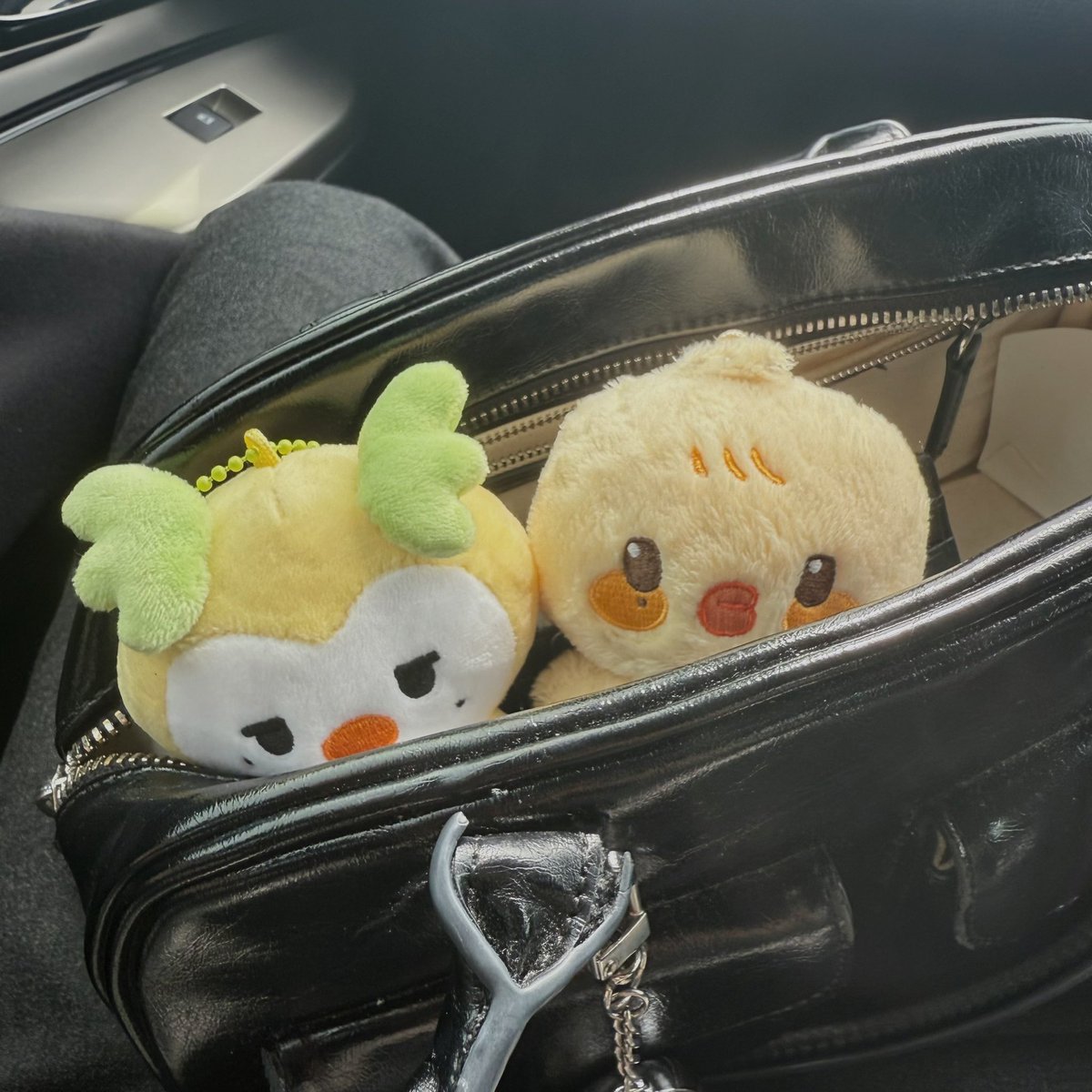 with tiny babies 

#mingyo #bbyongming