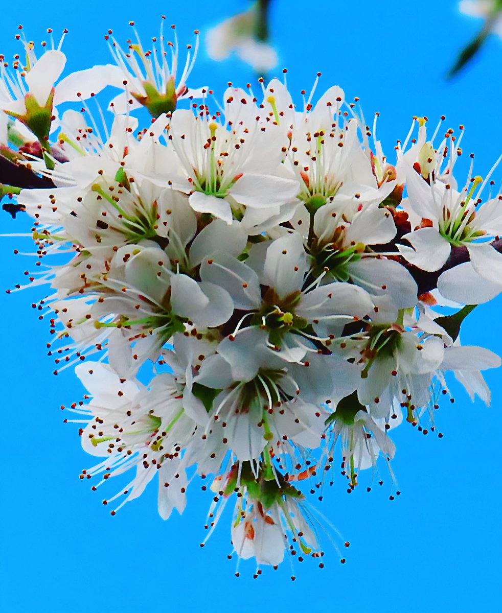 <a href="/Inge846611/">Inge</a> Das ist so sicher…wie das Amen in der Kirche. 😃🤣 And back at ya, liebe Inge.

🙏✌️🎧🤍