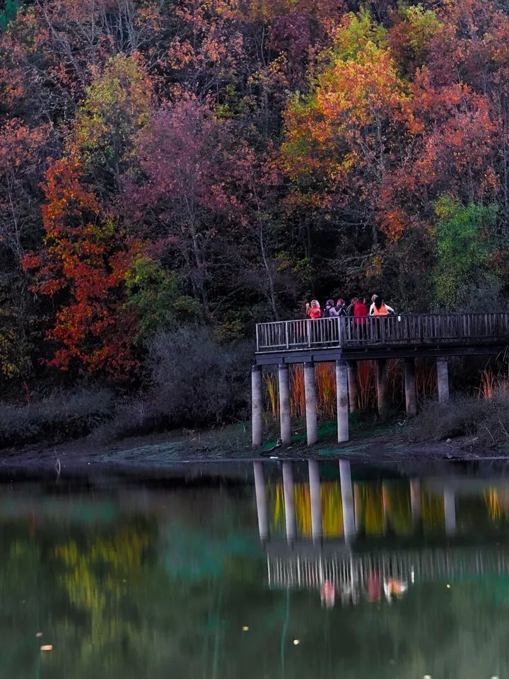 #BozcaarmuttaAltınMadeniİstemiyoruz
#BozcaarmuttaMadeneHayır

Plan Bütçe Komisyonu 
#3308SayılıYasaDegişsin