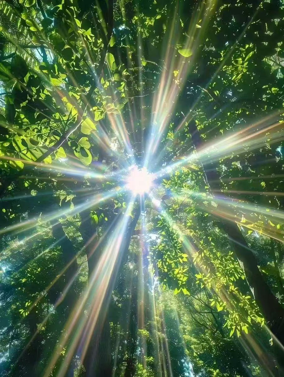 Zeng WenLi tweet media