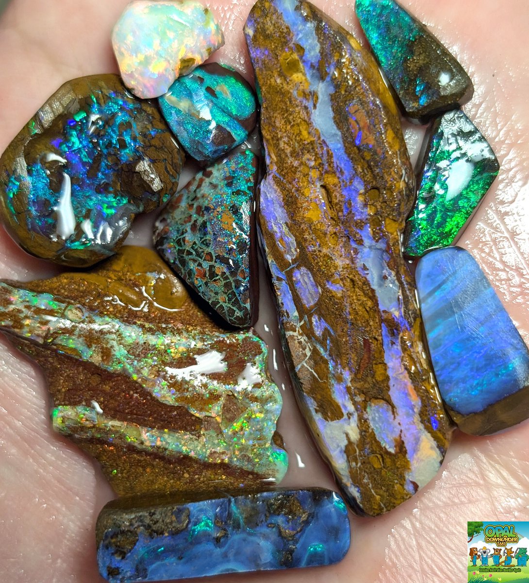 ボルダーオパール専門店-OPAL D TAKI (@opal_d_taki) / Posts / X