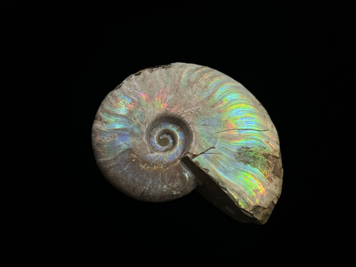 暗素研 (@KoPro18) / Posts / X