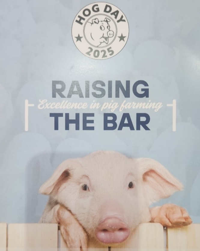 SteveMindDoctor's tweet photo. Dr #SteveHarris inspired over 160 delegates at the Hog Day Conference 2025 with his talk on Mental Toughness &amp; Peak Performance, motivating teams to “Raise the Bar - Not Just Survive, But Thrive.”

👉 https://t.co/HRnsO6zz4k

#MotivationalSpeaker #Leadership #MentalToughness https://t.co/TwqySmJv4g