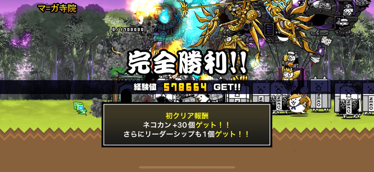 姫えびす　【レア表現！全身ゴールド】ドラゴンサンライズ（DRAGON SUNRISE）　ペア＝２匹