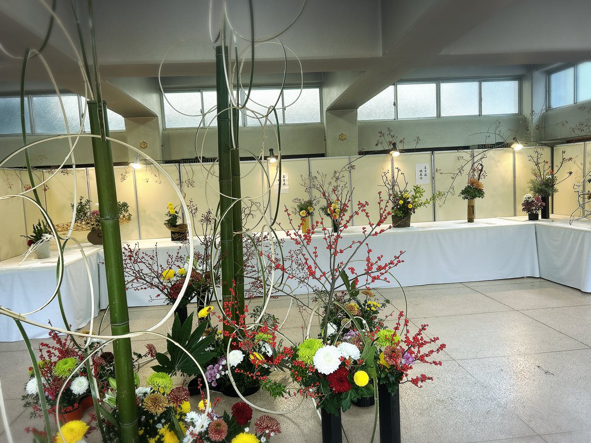 おくま🦋🐾🔥 (@okuma1121) / Posts / X