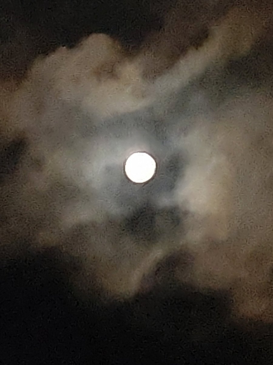 358358syunsui's tweet image. 貴方に逢いたい