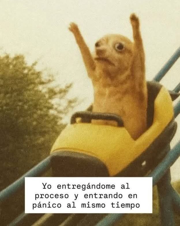 Dilo con perritos (@diloconperritos) on Twitter photo 