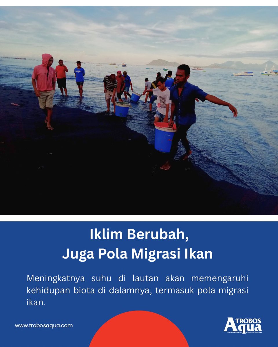 TROBOS Aqua tweet media