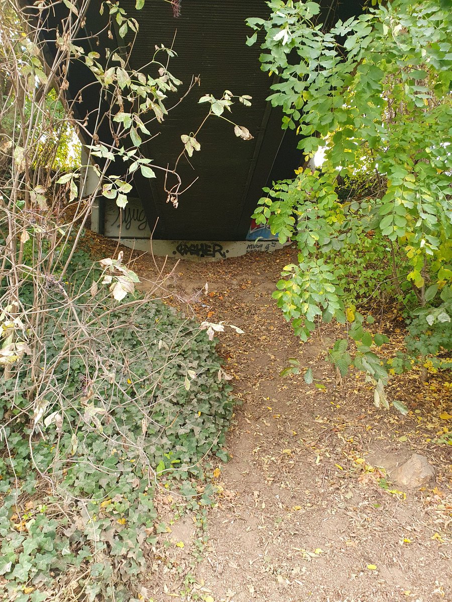 Solstice tweet media