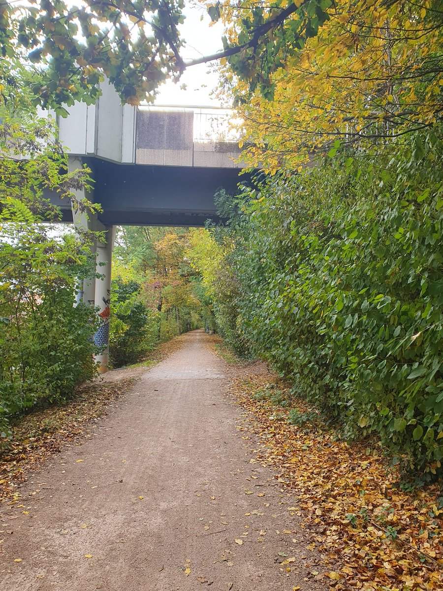 Solstice tweet media