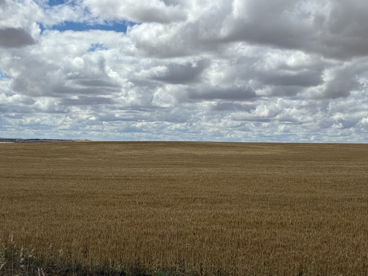 Furrow Management Systems Australia tweet media