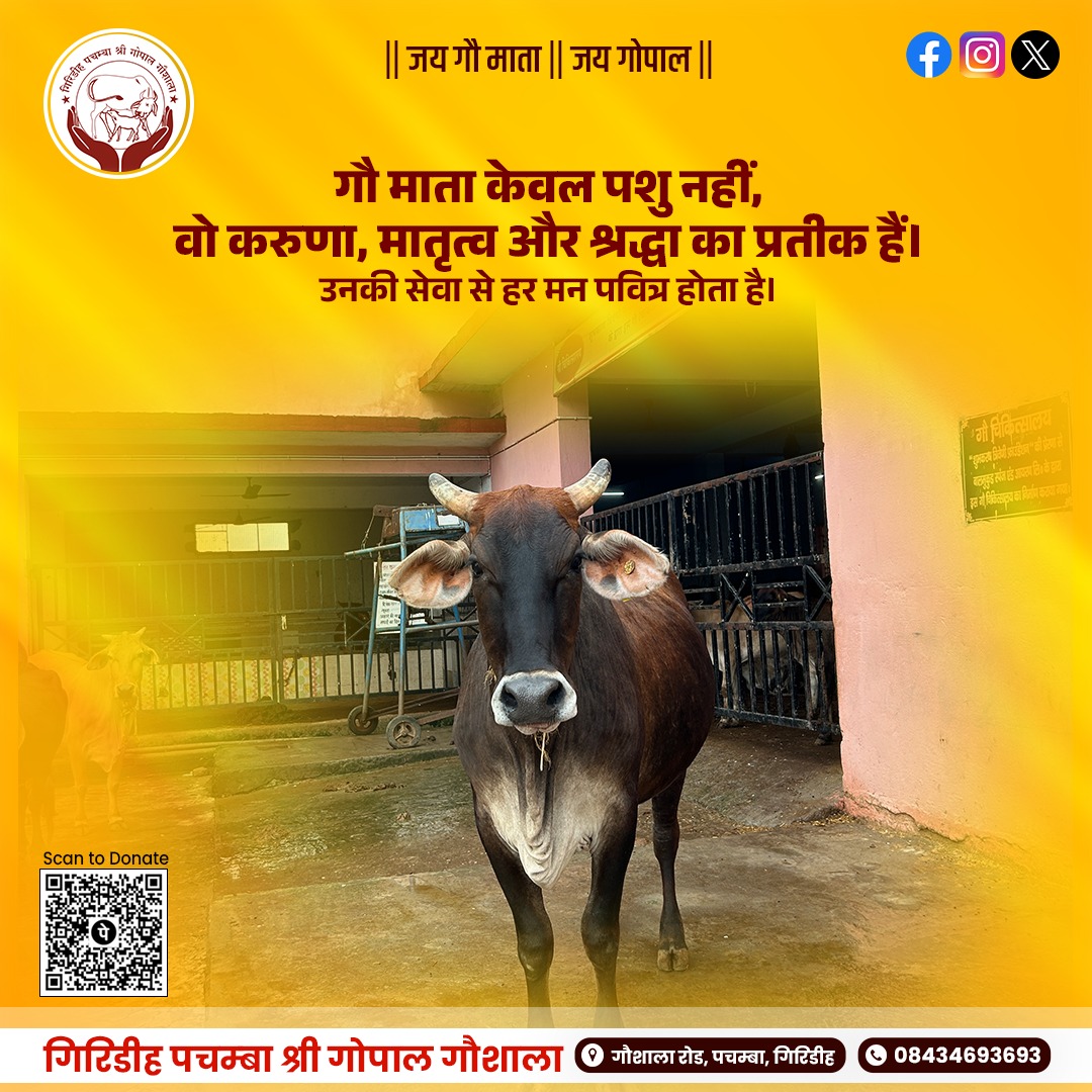 gaushalagrd's tweet photo. गौ माता केवल पशु नहीं — करुणा, मातृत्व और श्रद्धा का दिव्य स्वरूप हैं।
उनकी सेवा से मन शुद्ध होता है, जीवन में शांति और पुण्य का संचार होता है।
जय गौ माता । जय गोपाल ।
#JaiGauMata #JaiGopal #GauSeva #SanatanDharma #SpiritualWisdom #Goushala #GopalGoshala #Pachamba #Giridih https://t.co/HCrZMJ7Umz
