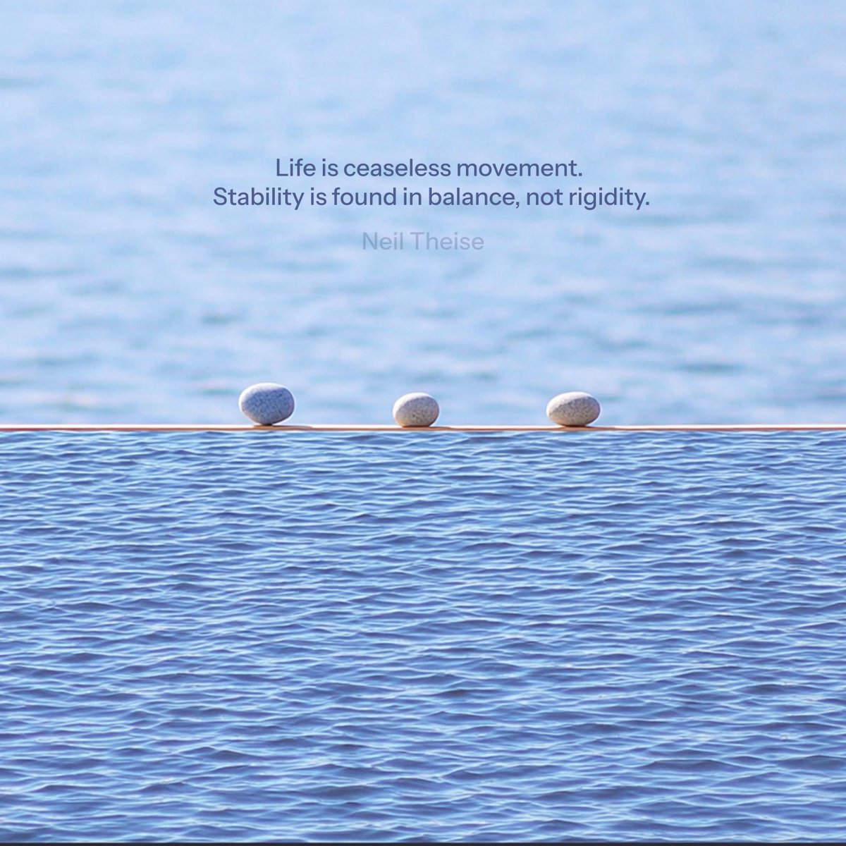 CapsuleOfTheDay's tweet photo. Life is ceaseless movement; stability is found in balance, not rigidity. 

— <Notes on complexity> Neil Theise https://t.co/COErHSMTYc