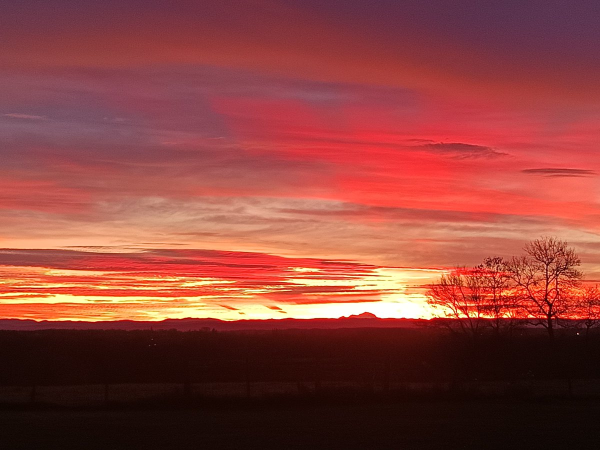 Réalisé sans IA, juste la beauté du monde au matin.