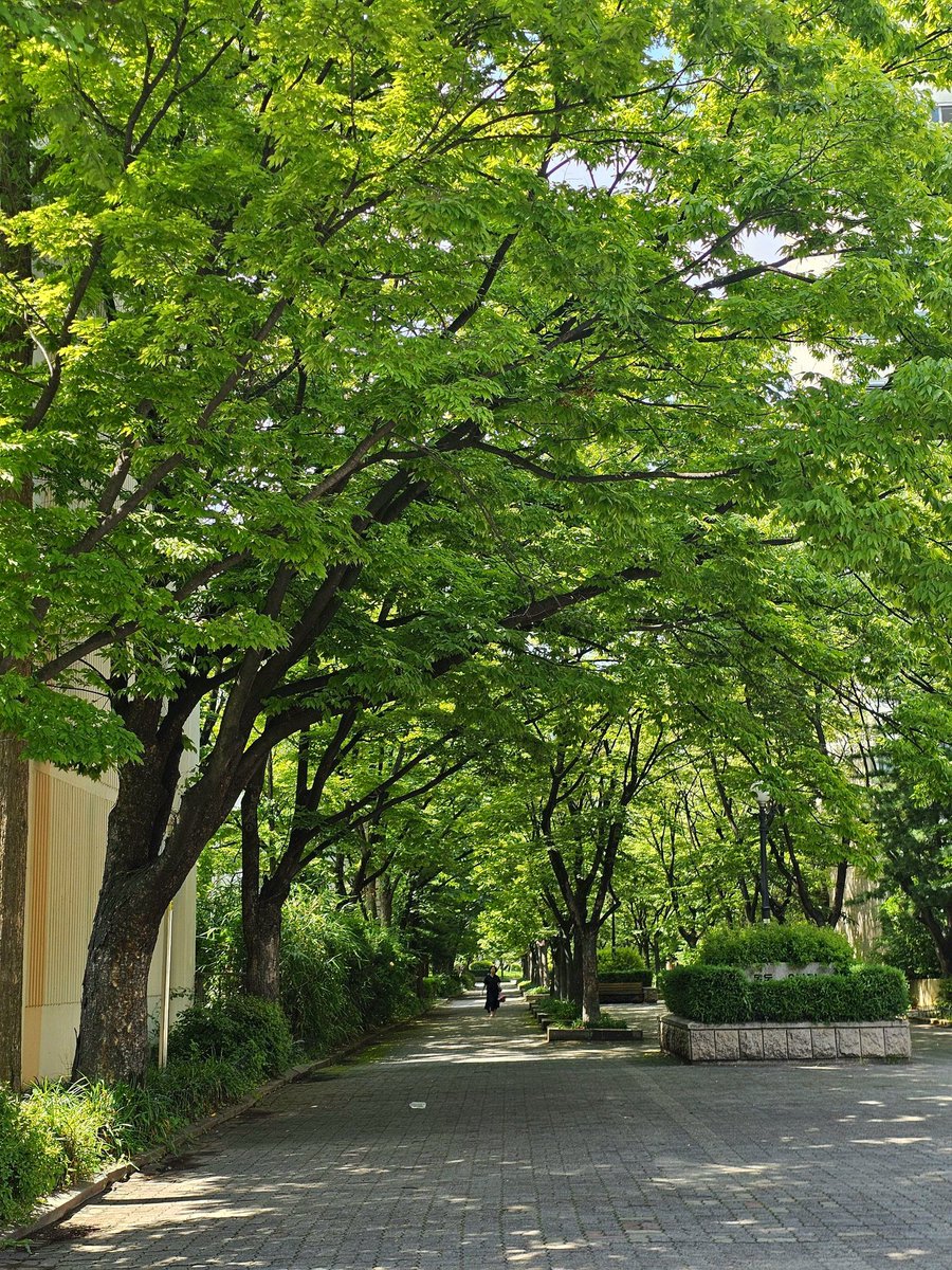Hazel tweet media