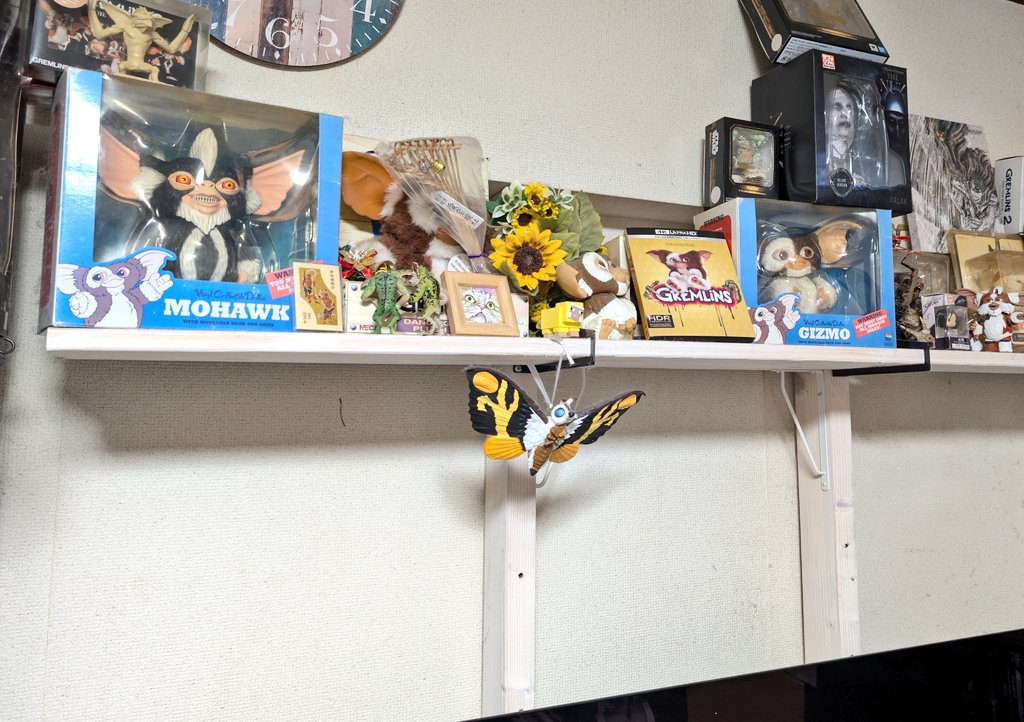 ガンディーニ　ガシャーン　一点物 ガンディーニ ガシャーン 一点物 【公式通販】