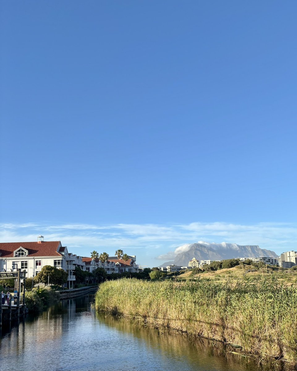 Linda Mileshkin tweet media