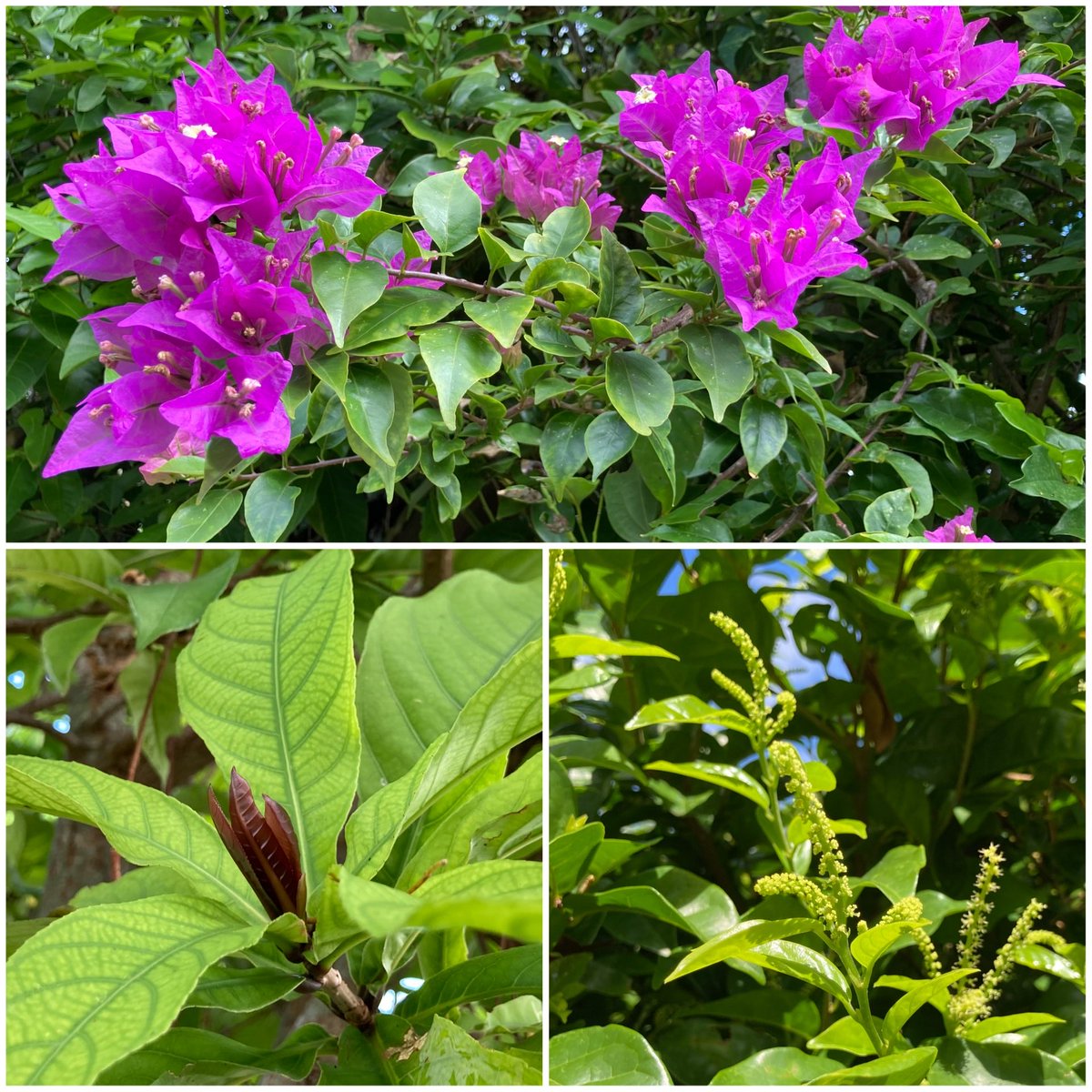 海燕社 on X 海燕社 on X