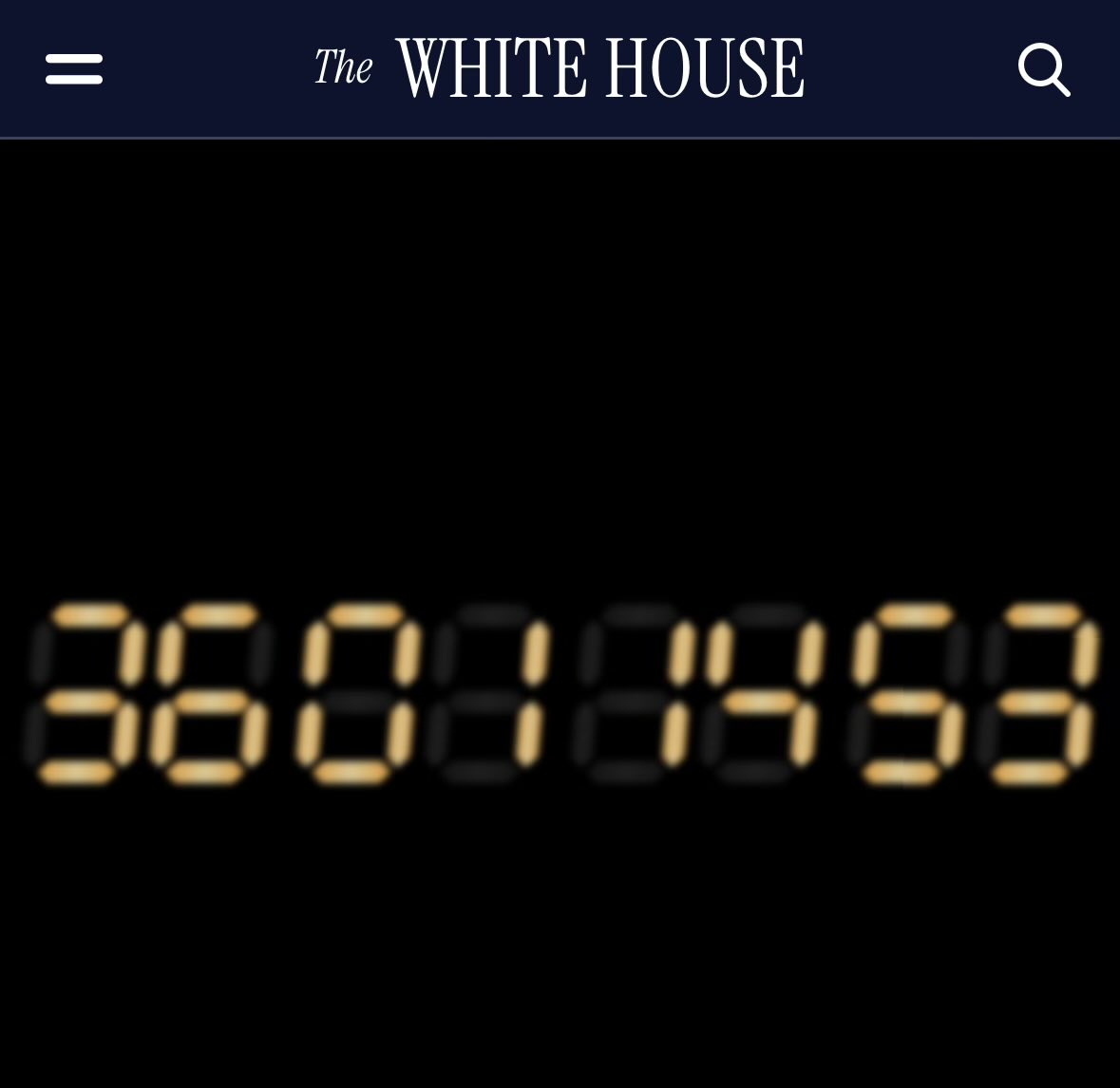 bird that seen some shit tweet media