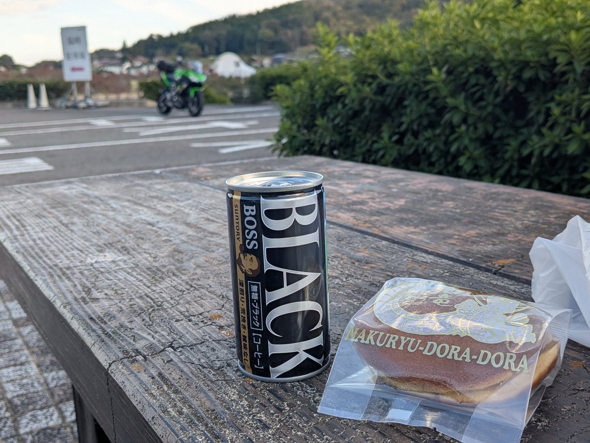 【みのりん】 mnori(ｴﾑﾉﾘ) ﾌﾞｰﾝX4&Ninja650海苔 on X