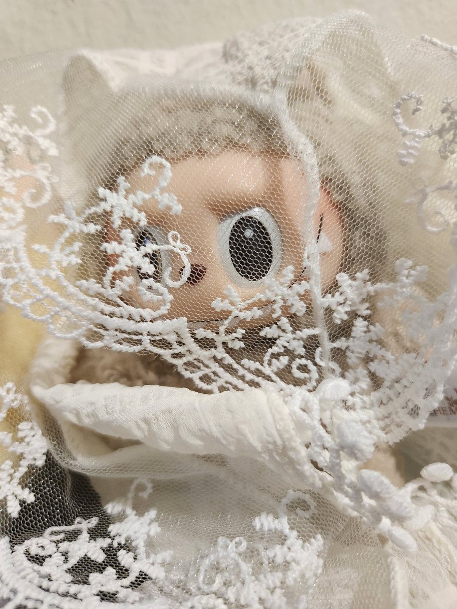 jess 👊🐱👊 tweet media