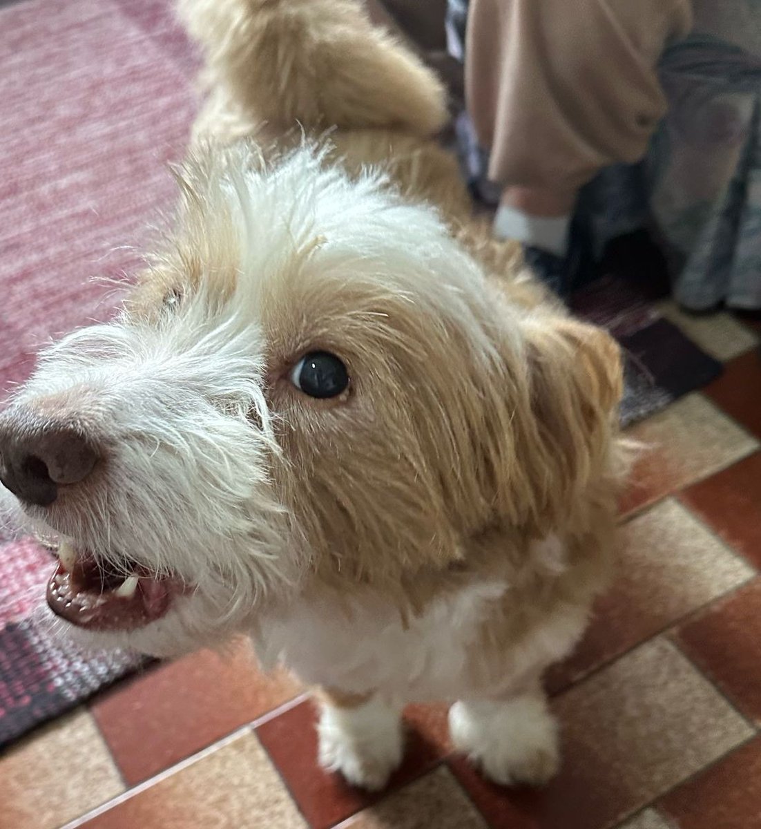 oratora60's tweet image. Wishing you a good day 🥰