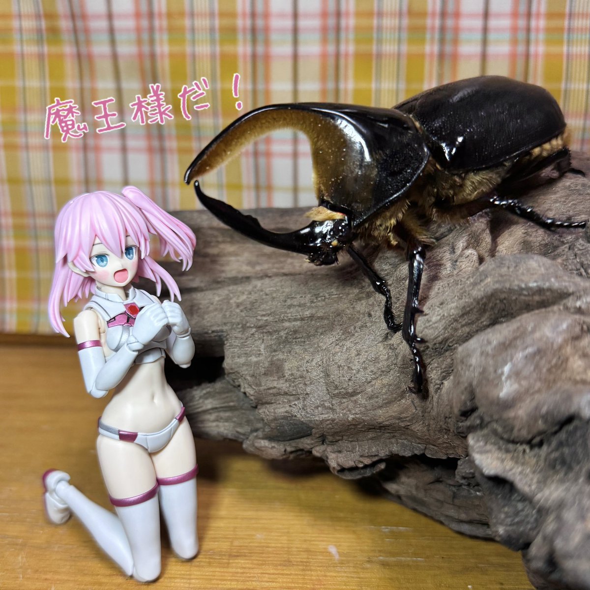 ワタリざきー on X