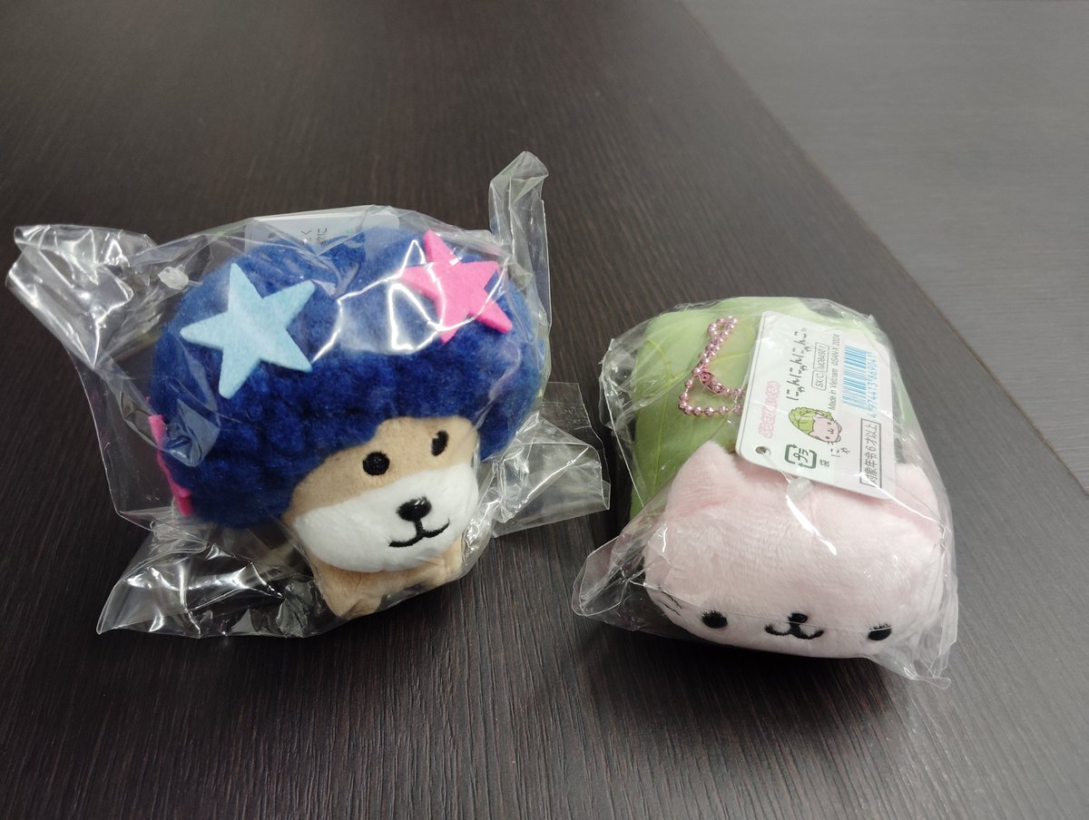 なつかしくてつい買ってしまった… #アフロ犬 #にゃんにゃんにゃんこ