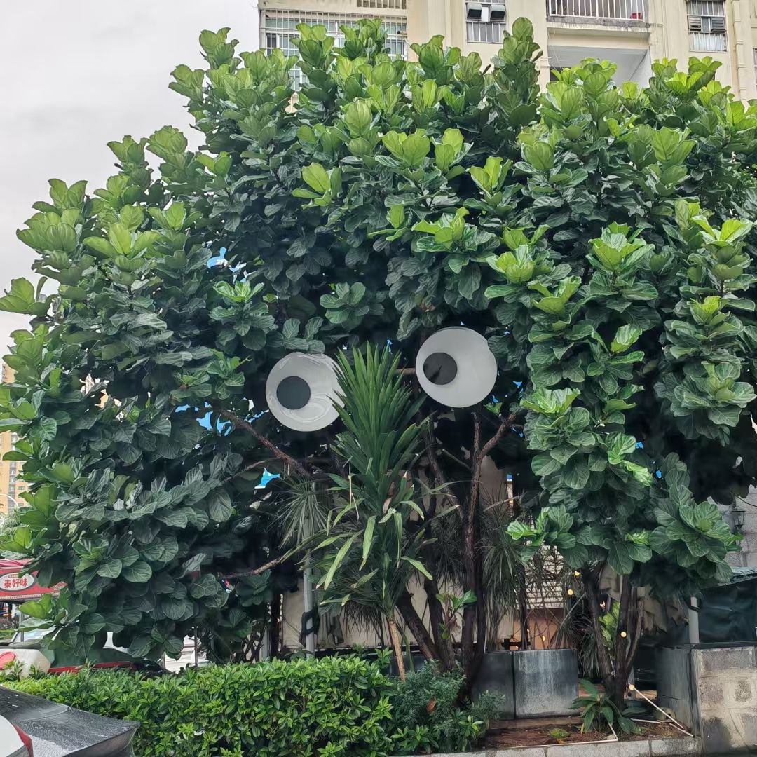 shnshn525188's tweet image. 距离3000，还差70#期待关注，真诚回关