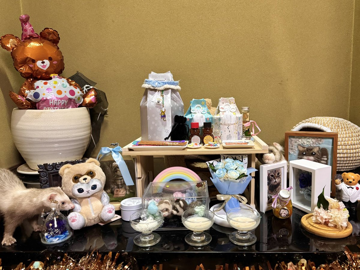 友子ちゃんとお兄ちゃん🌿ねこ&フェレット 😻🐻 (@2oniTomo