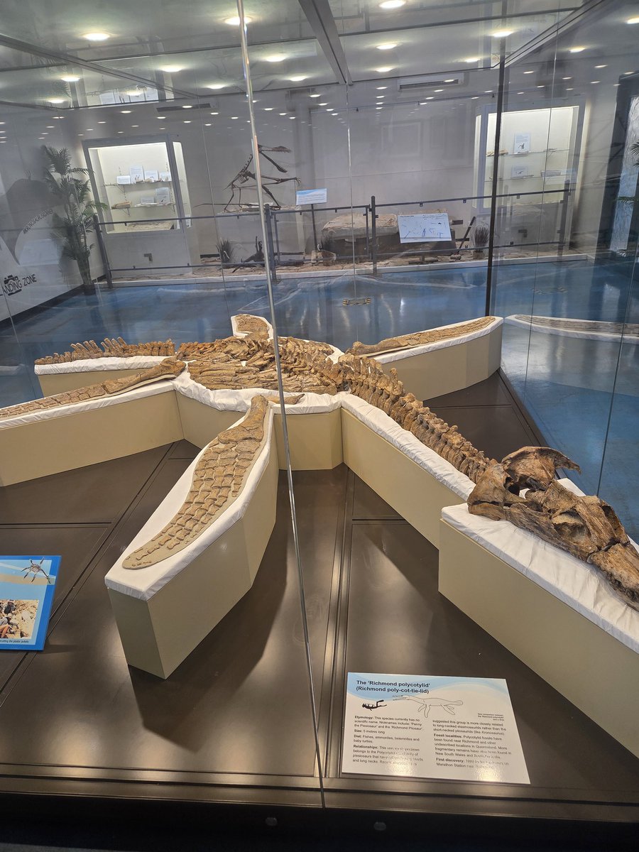 shotposter's tweet image. Expanding my mind by visiting some of my ancestors #Fossil