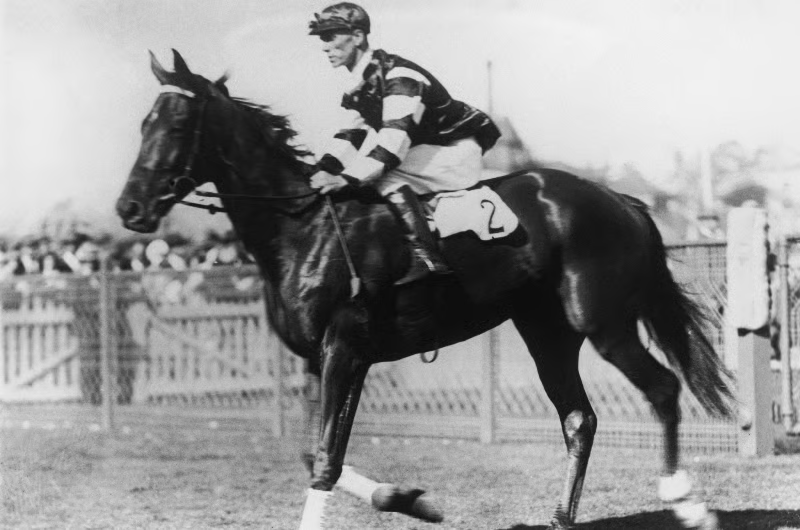 bets_comau's tweet image. Legends of the week, not just the one race.

@RacingPedigrees @FlemingtonVRC

The rare champions who didn’t just win the Cup, they ruled the famous Flemington Carnival 👇

bets.com.au/racing-news/me…