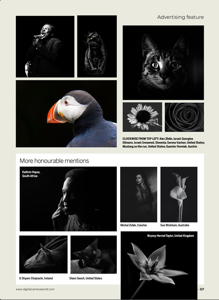 Denilson_PE's tweet photo. E mais uma vez tive a oportunidade de ter um trabalho meu na mídia internacional. Desta vez em uma das maiores revistas de fotografia do mundo, a Digital Camera World Magazine do Reino Unido. Em matéria sobre o resultado de uma competição no GS.
#photography 
@DCamMag @GuruShots https://t.co/dEzmGN7nZ7