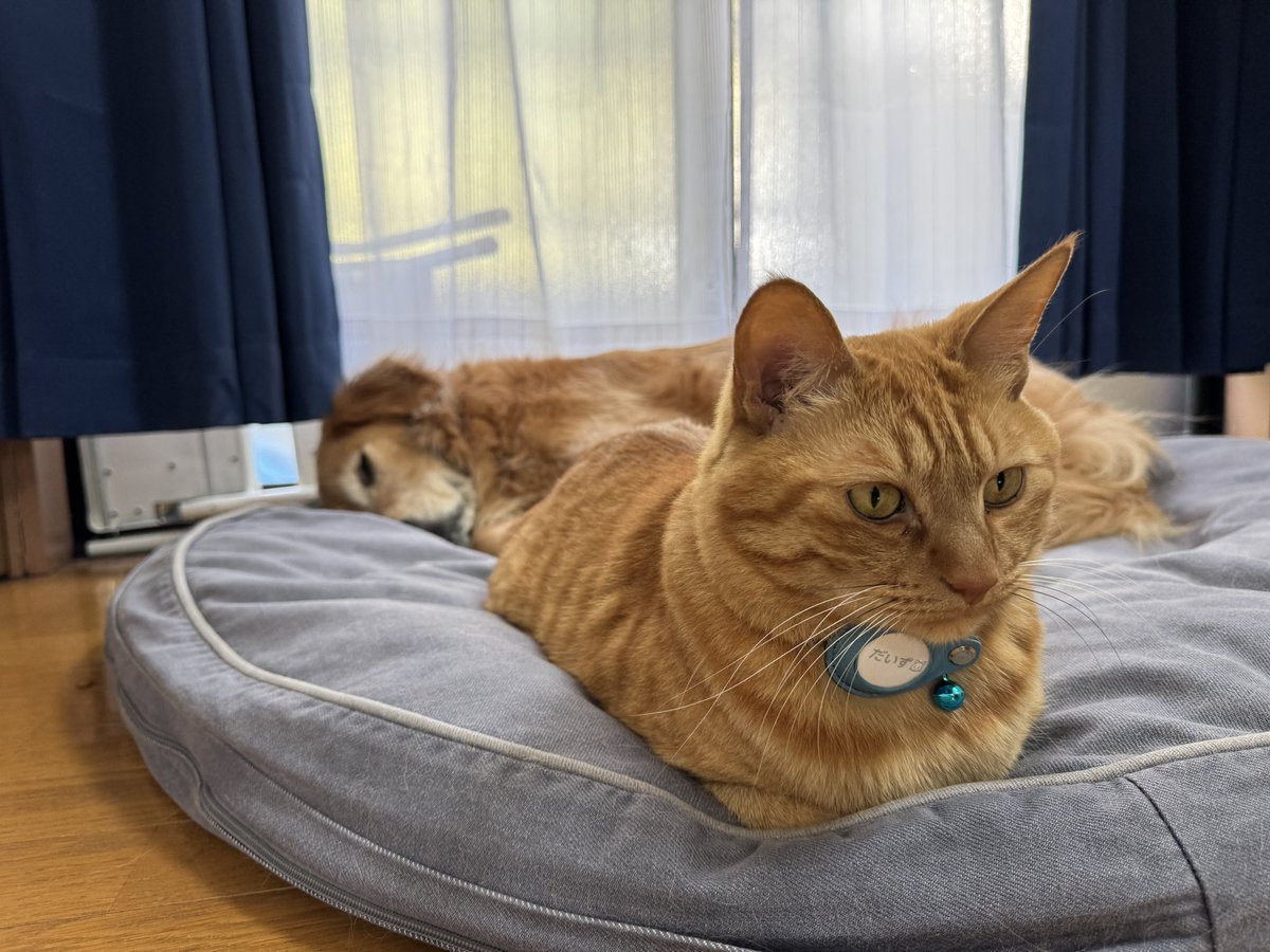 Sachi (@sachi1825) / Posts / X