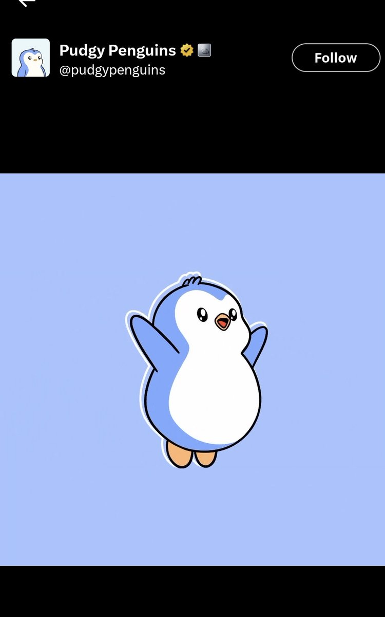 waelsh.eth tweet media