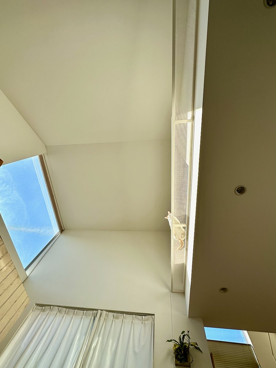 ＊3階建ての猫アパート＊ 3階建てロフト付き！葛飾区の猫専用アパートメント「Maison Neko