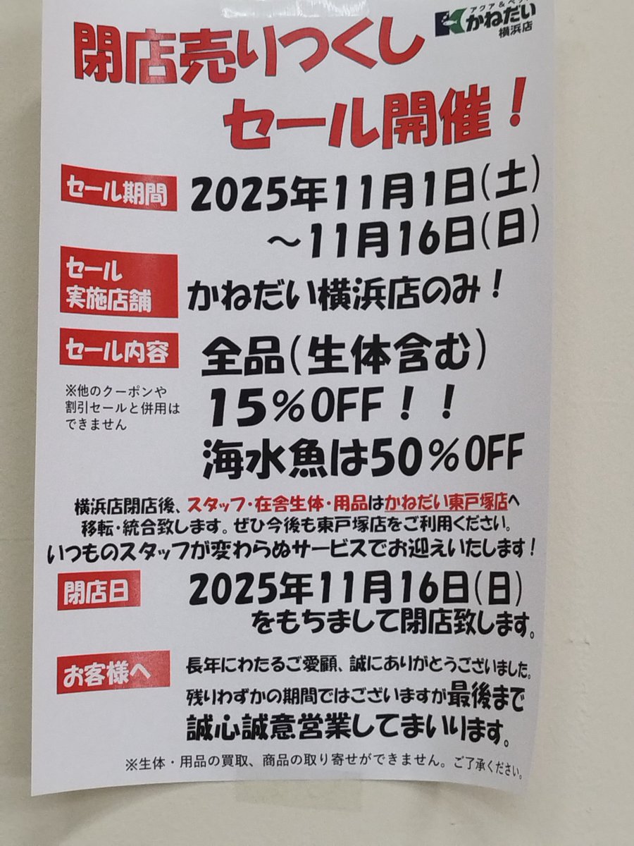 また一つ楽しみがなくなります　最後にピンポンパール買いました　かねだい横浜曙町店