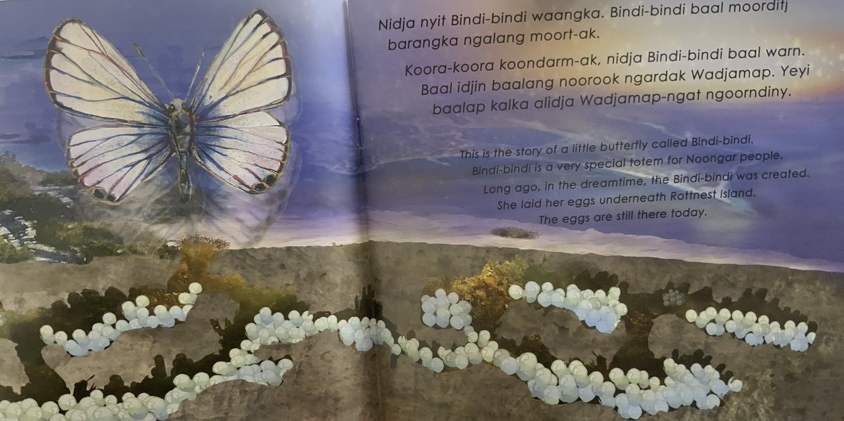 InfantJesus54's tweet image. In Drama, our Pre-Primary, Year 1 &amp;amp; Year 2 children explored Whadjuk Noongar stories—meeting Noorn, Ngaawily Nop, Bindi-Bindi &amp;amp; Maamoong Waangka. Each tale teaches kindness, empathy &amp;amp; care for Country. #ConnectedLearners #NurturedLearners #ExpectGreatThings