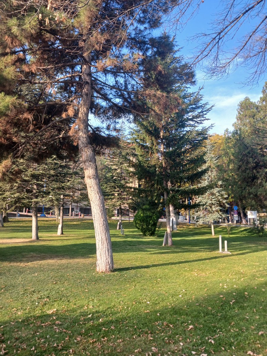 classicturkish's tweet image. Farsça sınavına hazırlık...