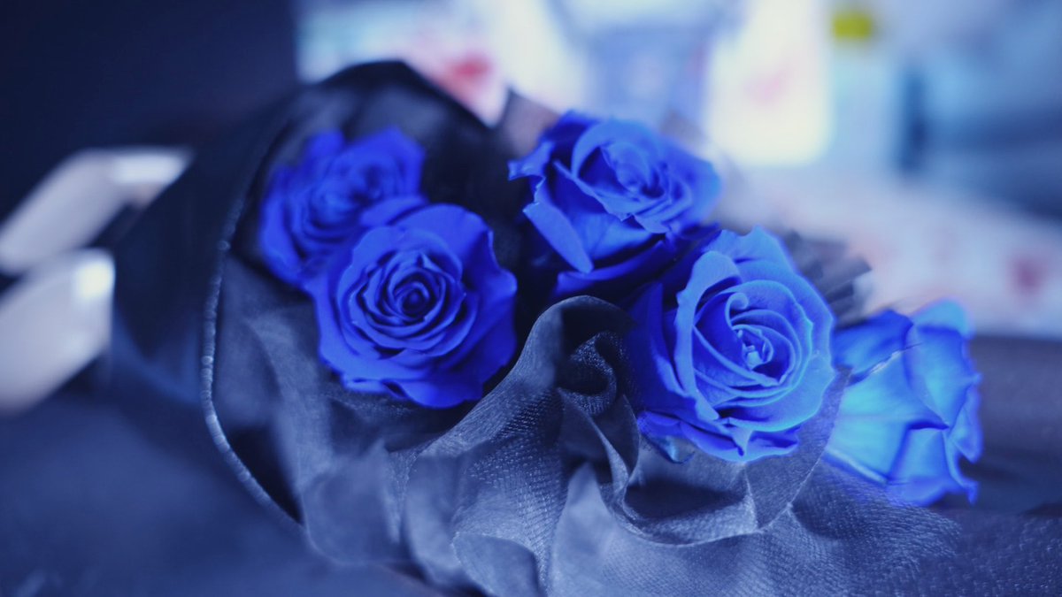 夢、全て叶えようね。