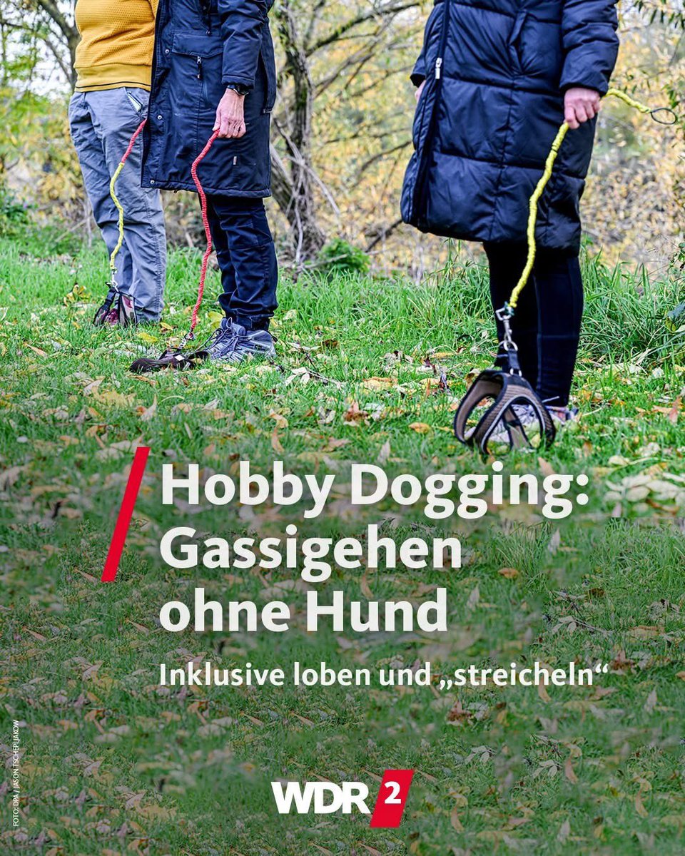 hein28187's tweet photo. Das passiert, wenn man glaubt es geht nicht dümmer, Aber offensichtlich, dümmer geht immer!!! #hobbydogging https://t.co/K0ifCFl023